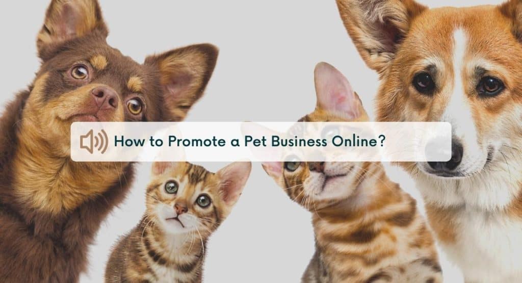 How to Promote a Pet Business Online